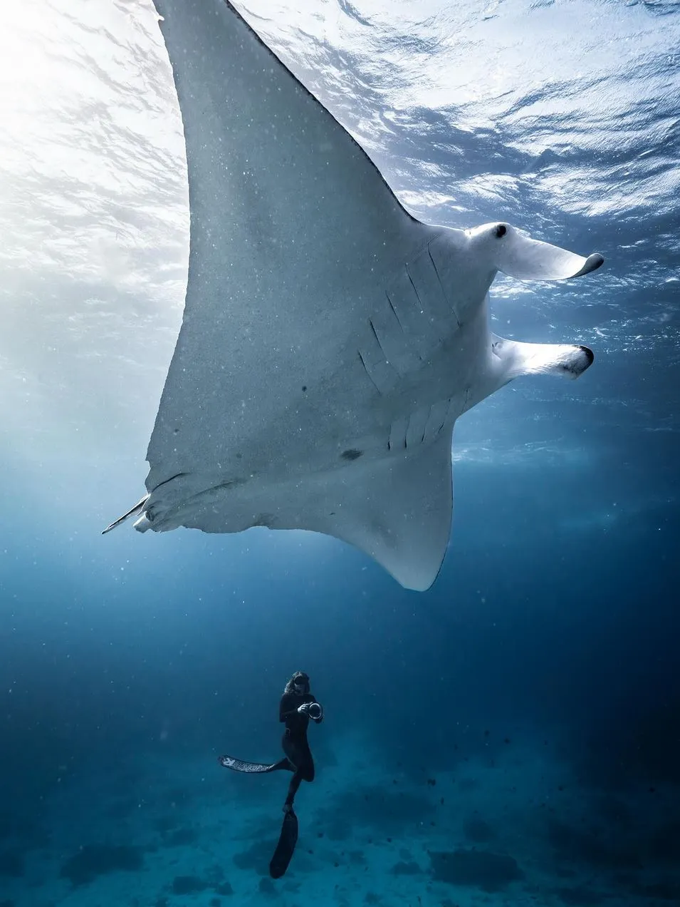 great barrier reef tours